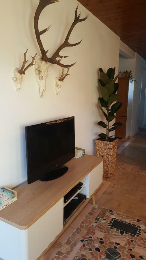 Appartement Unterbergblick Kössen Εξωτερικό φωτογραφία